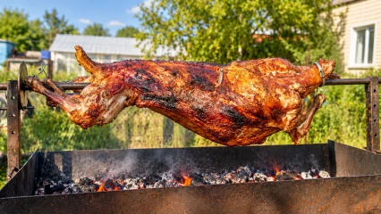 Кулинарная анимация